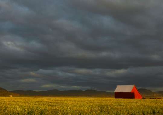 Title: Old Red Barn, Image Category: Landscape
